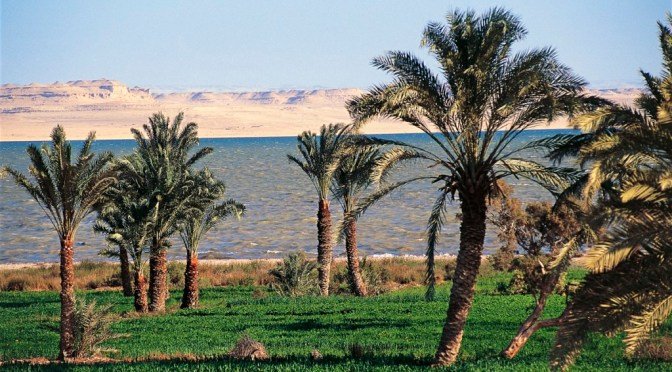 Lake Qarun