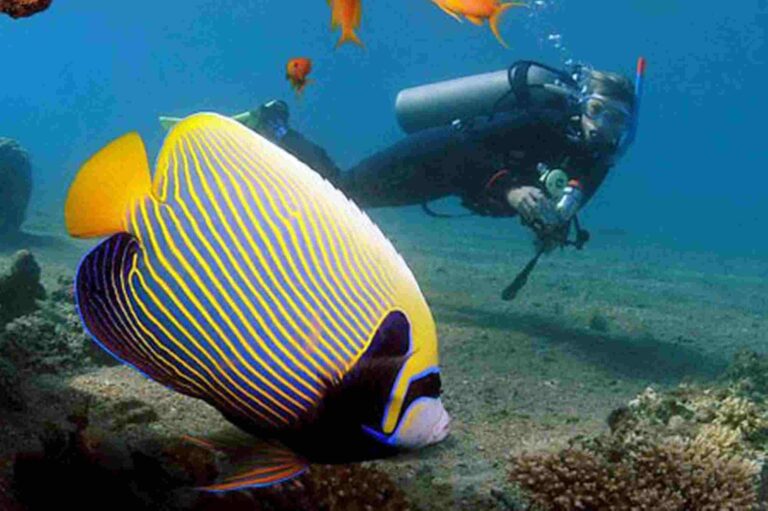 Dahab del Sina