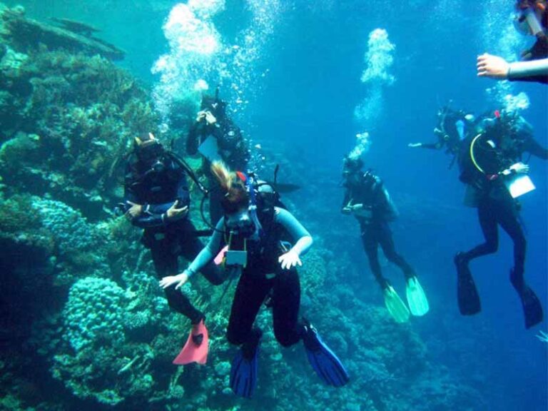 A snorkeler exploring vibrant coral reefs in the clear waters of Ras Mohammed National Park.